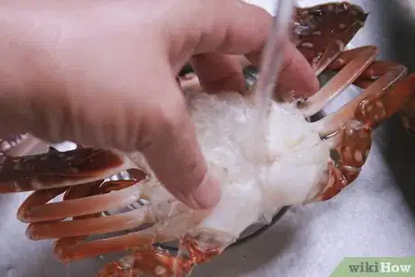 Image titled Cook Dungeness Crab Step 8