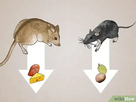 Image titled Attract Rats Step 13