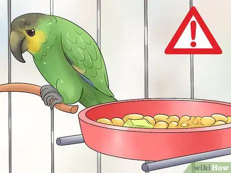 Image titled Treat Tumors in Amazon Parrots Step 3