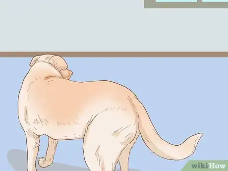 Image titled Help Your Dog Through a Stroke Step 14
