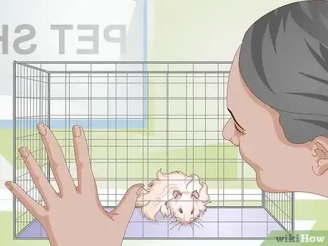 Image titled Prepare for a Pet Hamster for the First Time Step 12