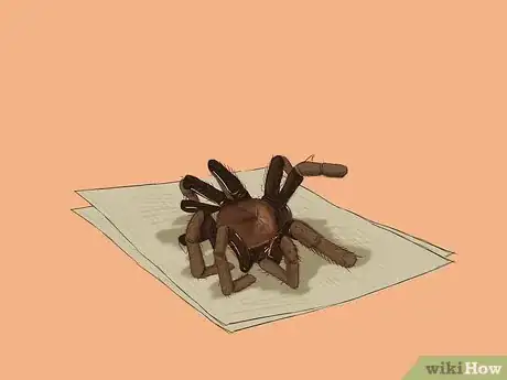 Image titled Cook Tarantula Spiders Step 17