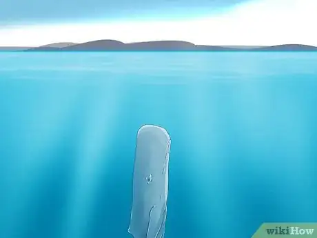 Image titled How Do Whales Sleep Step 2