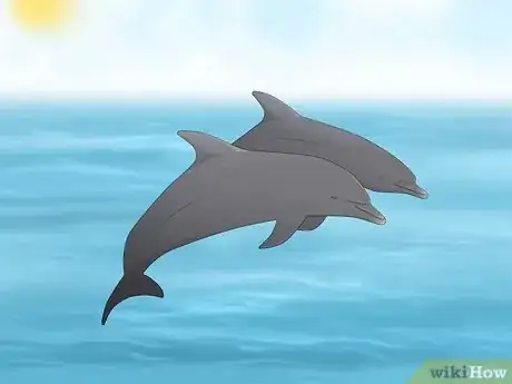 Image titled Why Do Dolphins Follow Boats Step 6