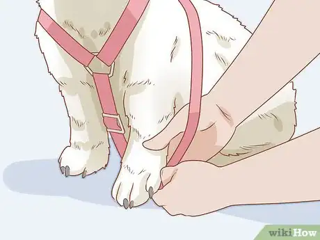 Image titled Put on a Dog Harness Step 10