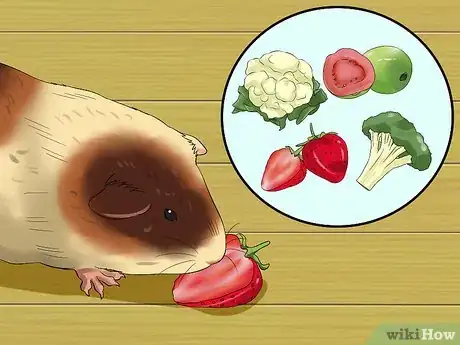 Image titled Feed Guinea Pigs Vitamin C Step 4