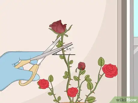 Image titled Care for Roses Step 14