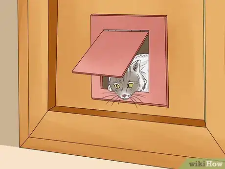 Image titled Get a Cat to Stop Meowing Step 14