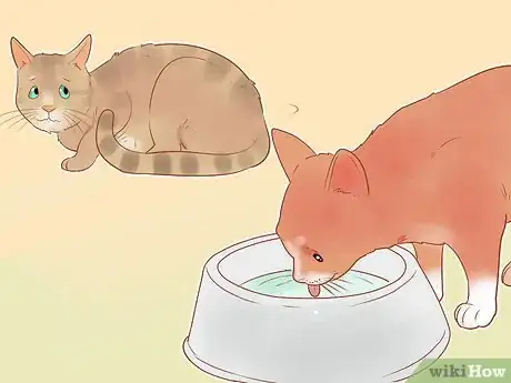 Image titled Know if Your Cat Is Sick Step 5