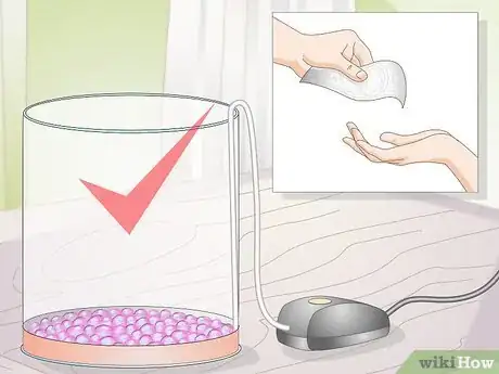 Image titled Maintain a Jellyfish Tank Step 1