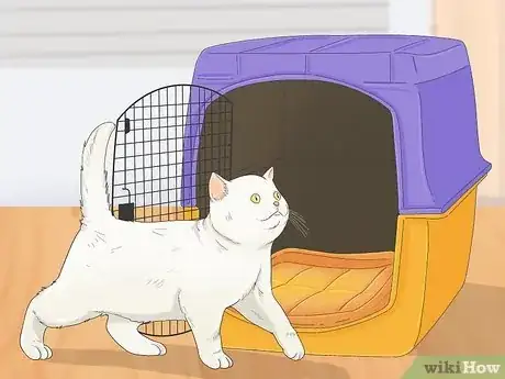 Image titled Earn a Kitten's Trust Step 10