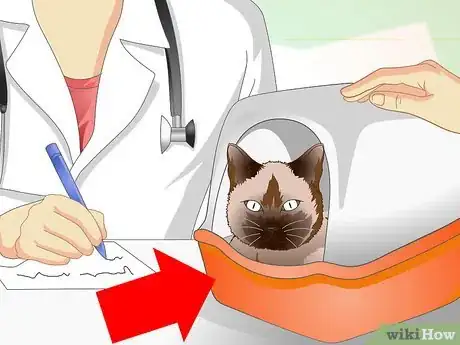 Image titled Help a Cat with a Broken Shoulder Step 9