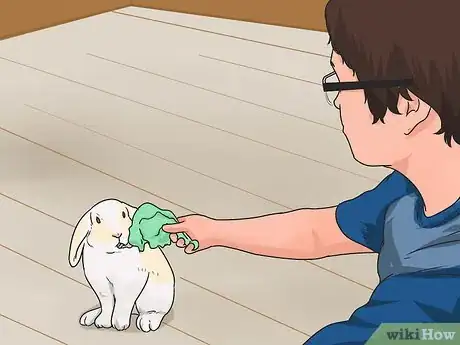Image titled Teach Your Rabbit to Come when Called Step 6