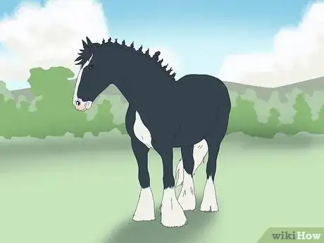 Image titled Choose the Right Breed of Horse for You Step 16