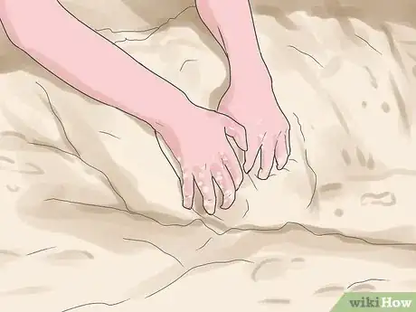 Image titled Catch Sand Crabs Step 4
