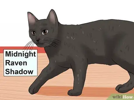 Image titled Choose a Name for Your Cat Step 2