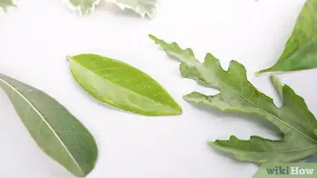 Image titled Preserve Leaves in Wax Paper Step 2