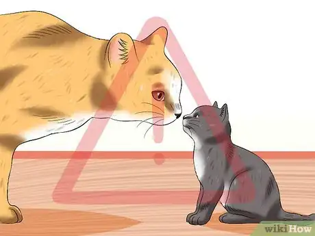 Image titled Treat Feline Panleukopenia (Distemper) Step 16