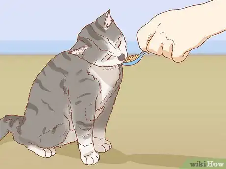Image titled Teach Your Cat to Sit Step 9
