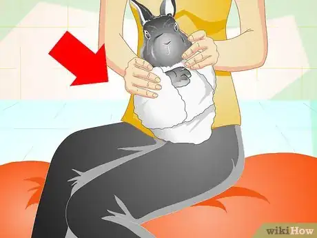 Image titled Trim Your Rabbit's Nails Step 3