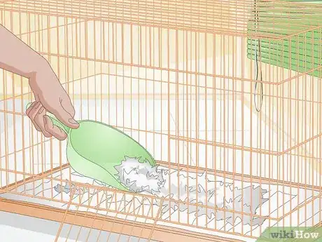 Image titled Clean up After Your Guinea Pig Step 13