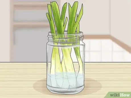 Image titled Store Scallions Step 2