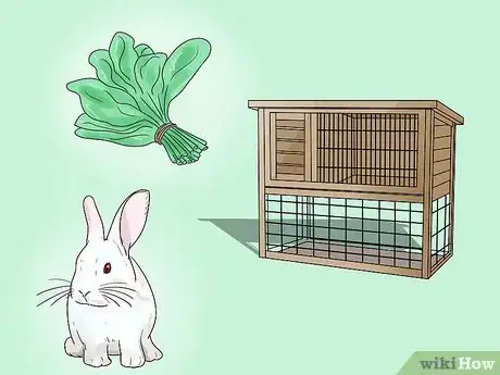 Image titled Teach Your Rabbit to Come when Called Step 1