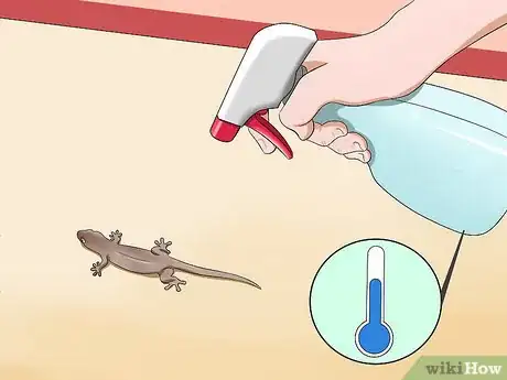 Image titled Catch a Lizard Without Using Your Hands Step 4