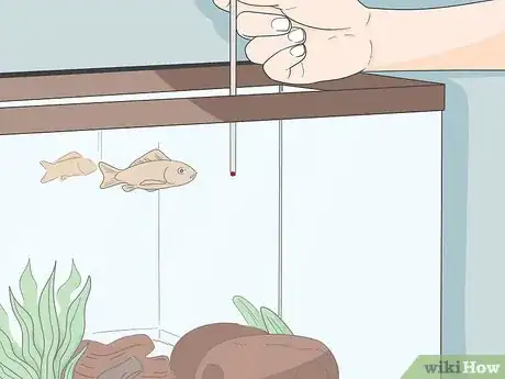 Image titled Enjoy Having Pet Fish Step 8