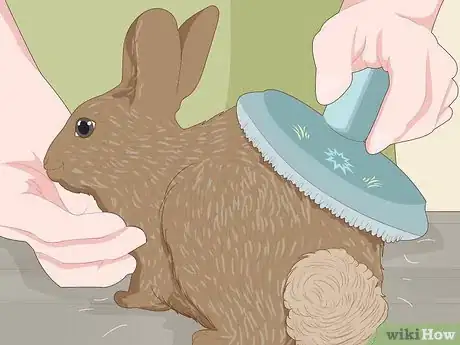 Image titled Care for Dwarf Rabbits Step 16