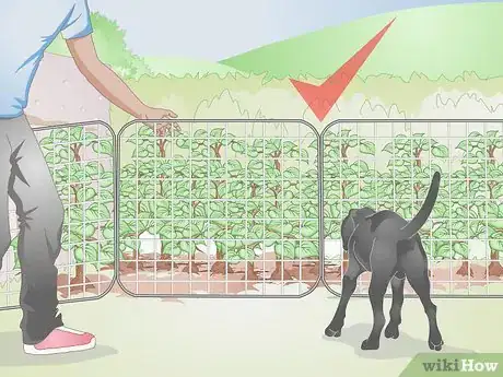 Image titled Dog Proof a Garden Step 14