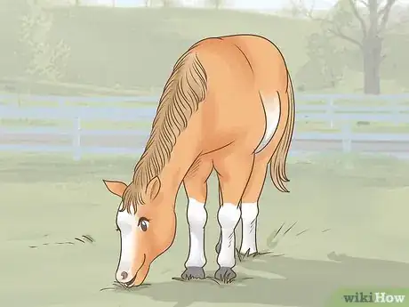Image titled Tell if a Horse Is Happy Step 6