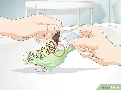 Image titled Get Rid of Mites on Budgies Step 10