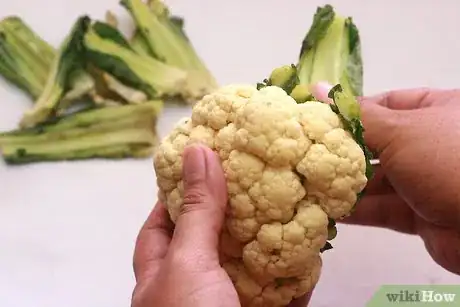 Image titled Prepare Cauliflower Florets Step 2