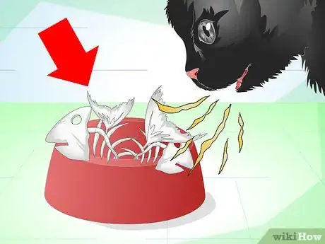 Image titled Get Rid of Bad Cat Breath Step 10