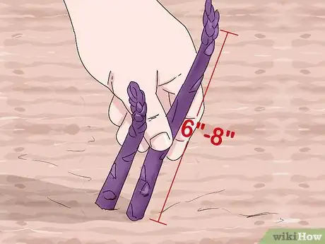 Image titled Grow Purple Asparagus Step 14