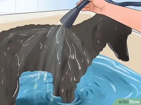 Image titled Reduce Excessive Shedding in Dogs Step 7