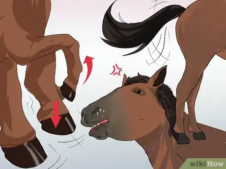 Image titled Diagnose Heaves in Horses Step 9