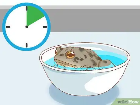 Image titled Bathe Your Frog Step 14