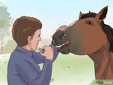 Image titled Diagnose Heaves in Horses Step 5