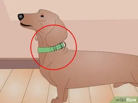Image titled Make a Dog Coat Step 30