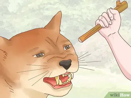 Image titled Survive Animal Attacks Step 15