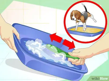 Image titled Litter Train a Dog Step 18