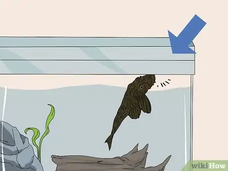 Image titled Feed a Pleco Step 15