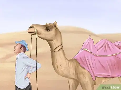 Image titled Ride a Camel Step 11