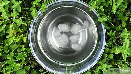 Image titled Make Your Dog Drink Water Step 14