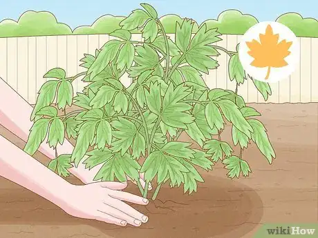Image titled Plant Peonies Step 1