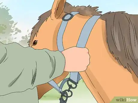 Image titled Harness a Horse Step 1