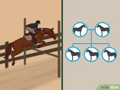 Image titled Buy a Racehorse Step 12