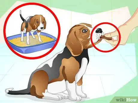 Image titled Litter Train a Dog Step 17